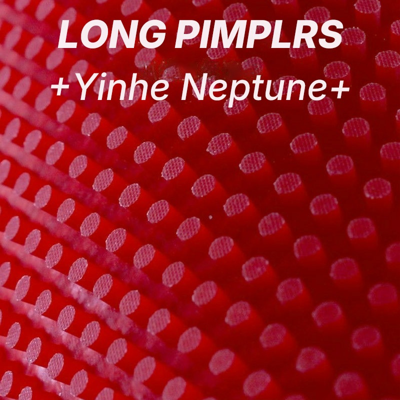 YINHE NEPTUNE Long Pimples Tab - đánh giá và giá Table Tennis Spin